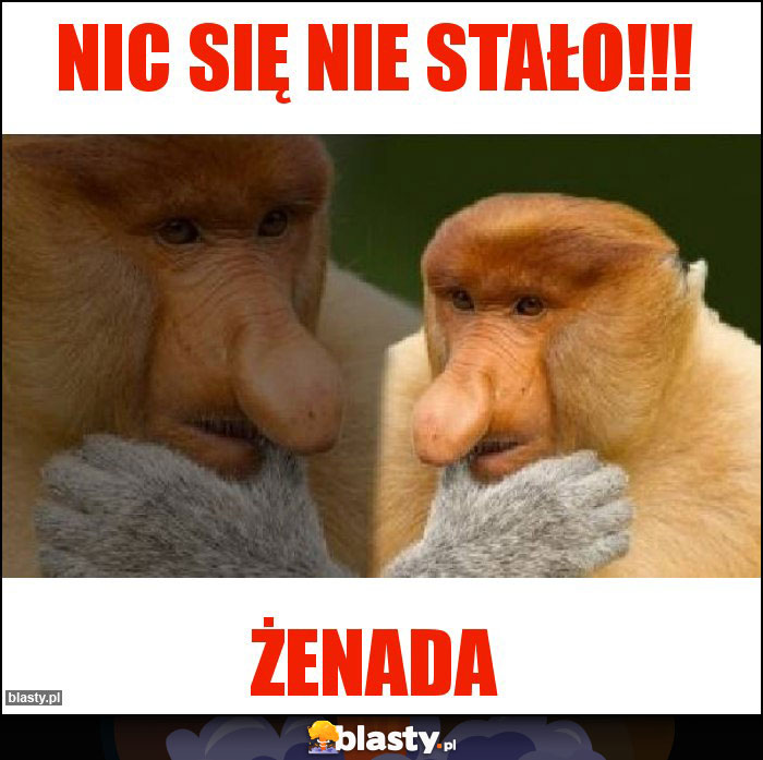 NIC SIĘ NIE STAŁO!!!