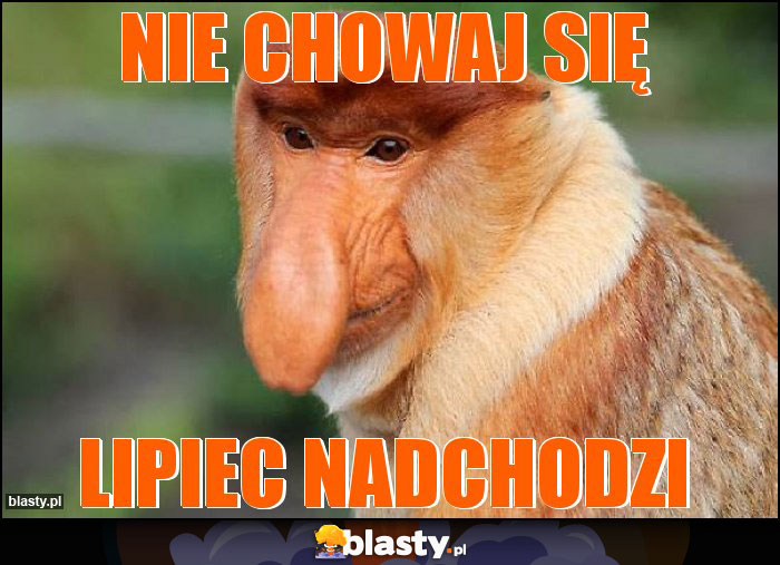 Nie chowaj się