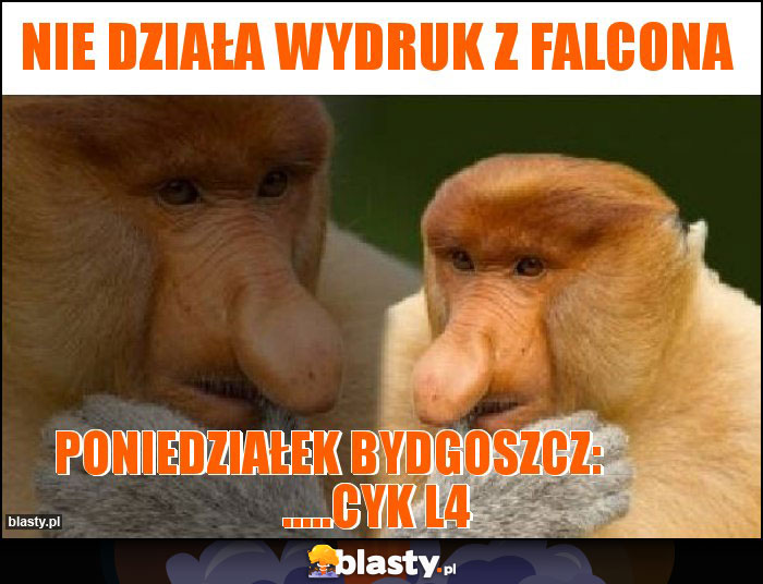 Nie działa wydruk z FALCONA