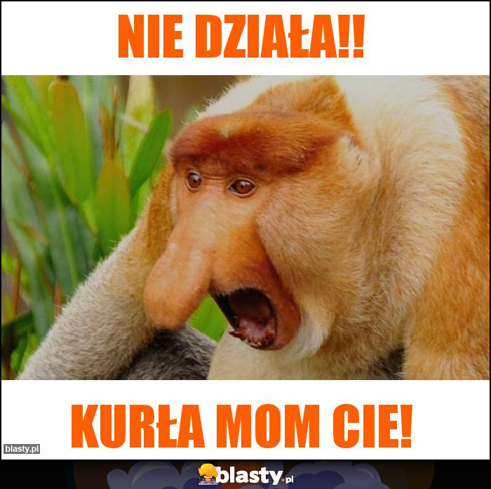 Nie działa!!