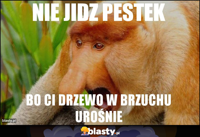 Nie jidz pestek