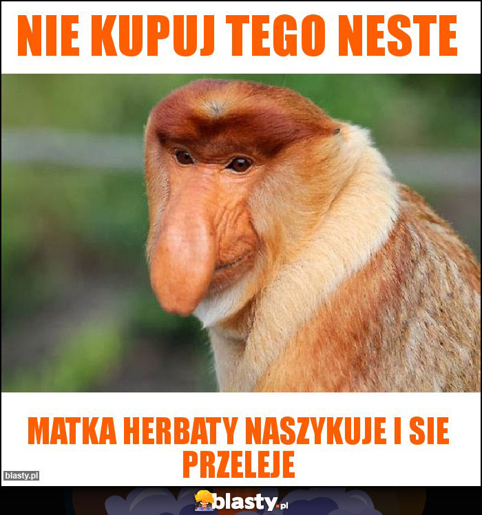 NIE KUPUJ TEGO NESTE