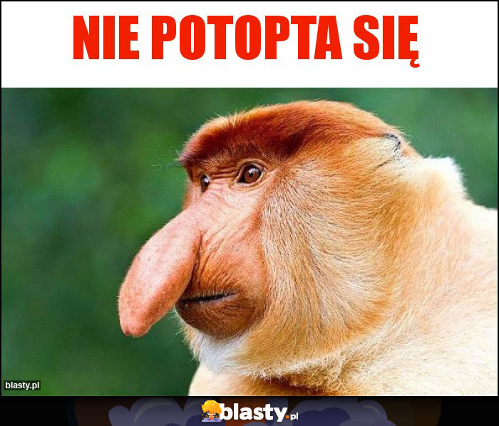 Nie potopta się