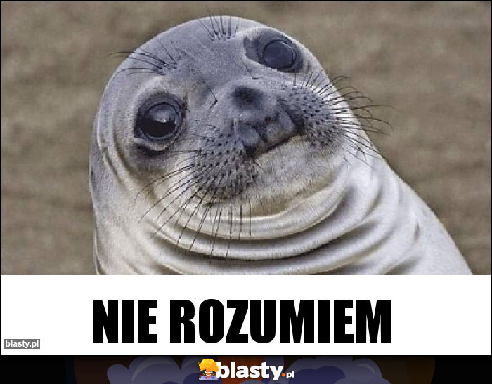 Nie rozumiem