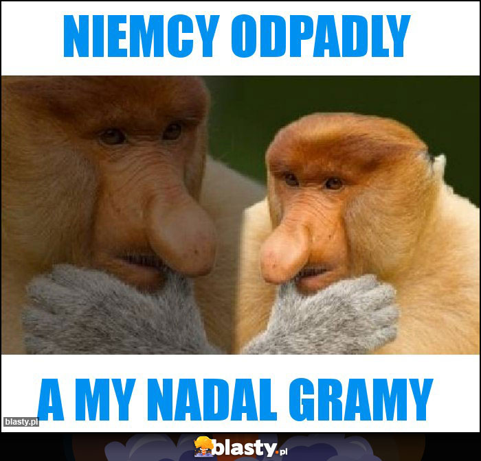 Niemcy odpadly