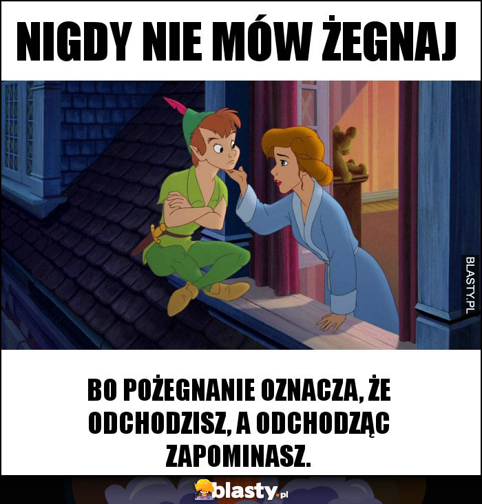 Nigdy nie mów żegnaj