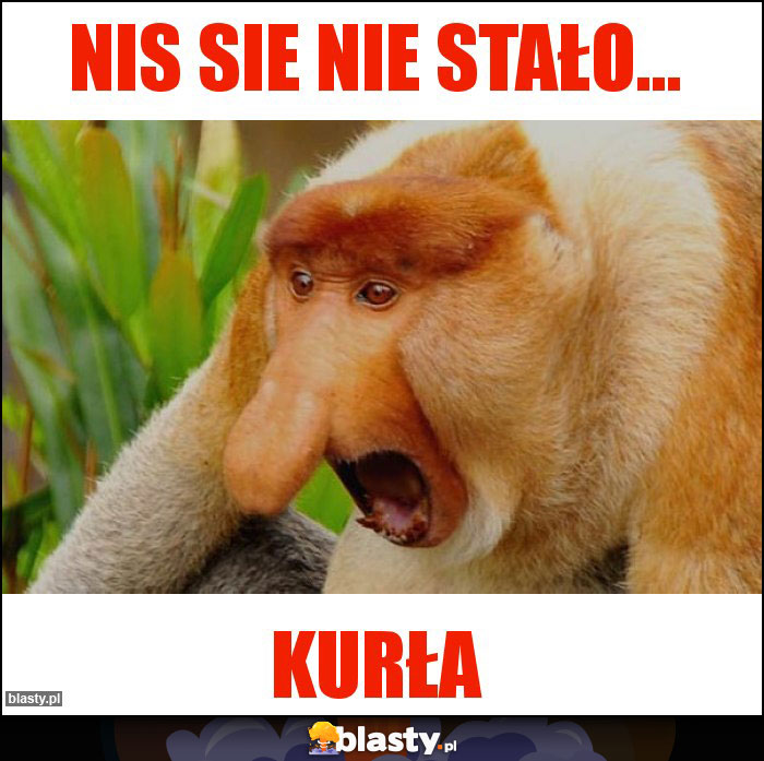 NIS SIE NIE STAŁO...