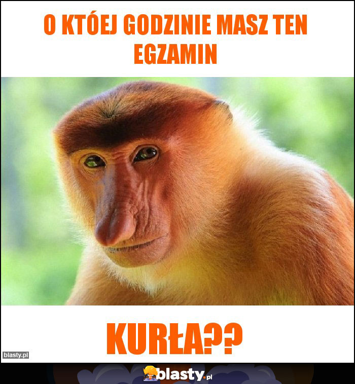 o któej godzinie masz ten egzamin