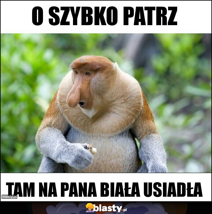 O szybko patrz