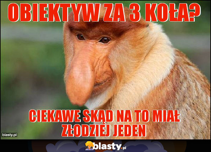 Obiektyw za 3 koła?