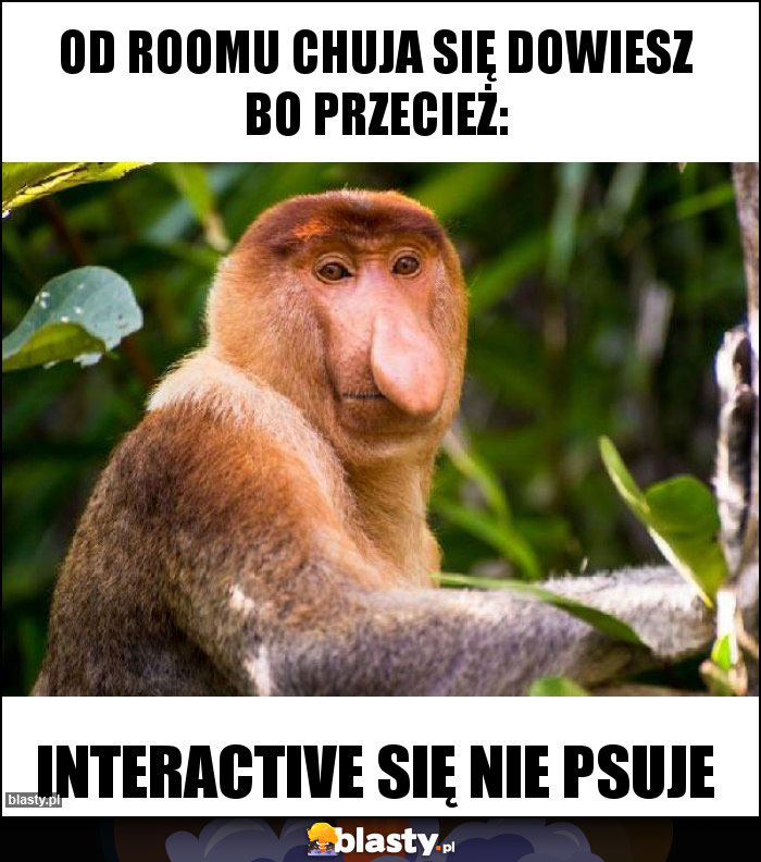 od roomu chuja się dowiesz bo przecież: