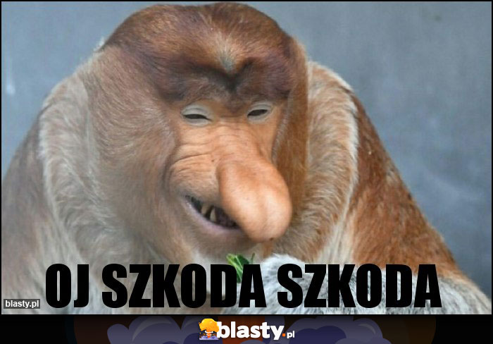 Oj szkoda szkoda