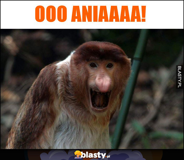 Ooo ANIAAAA!