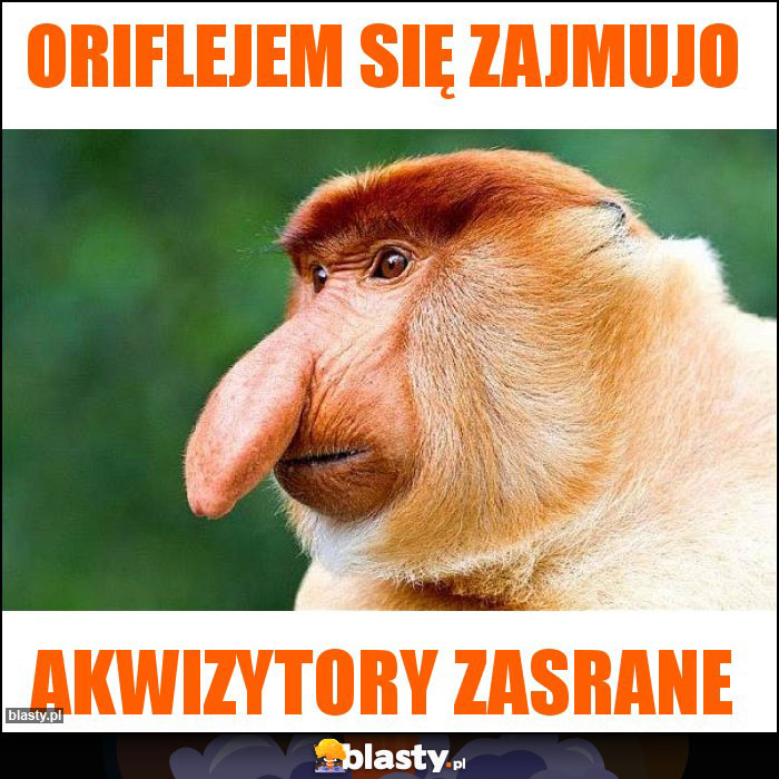 Oriflejem się zajmujo