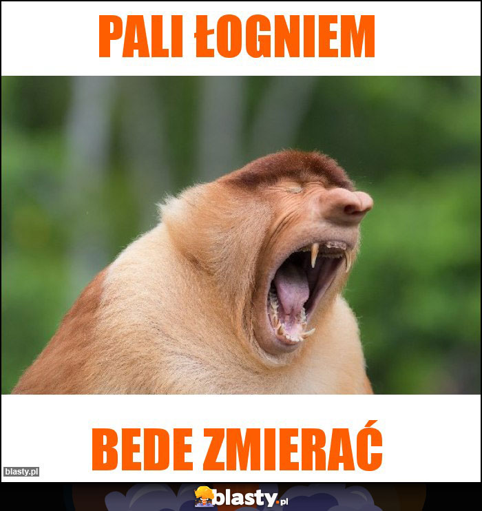 Pali łogniem