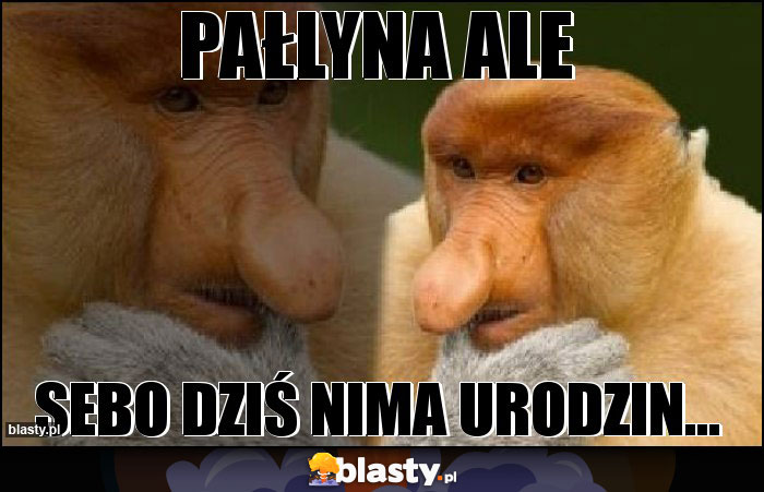 PAŁLYNA ALE