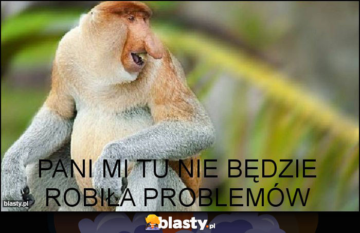 PANI MI TU NIE BĘDZIE ROBIŁA PROBLEMÓW