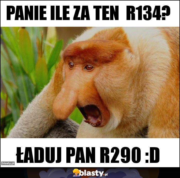 Panie ile za ten  R134?