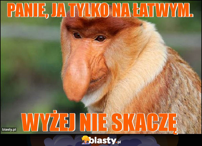 panie, ja tylko na łatwym.