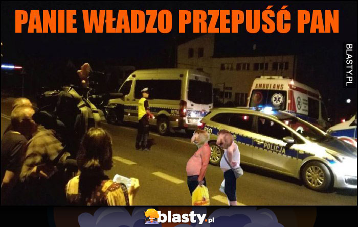 panie władzo przepuść pan