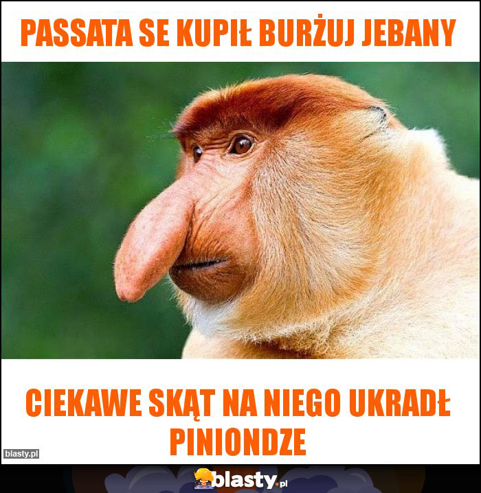 passata se kupił burżuj jebany