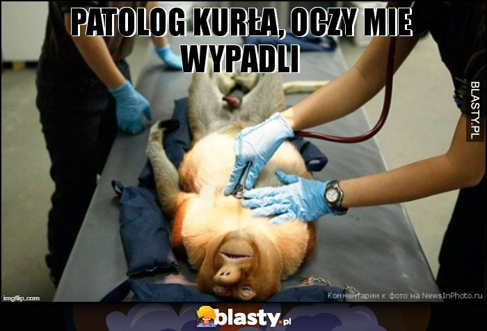 Patolog kurła, oczy mie wypadli