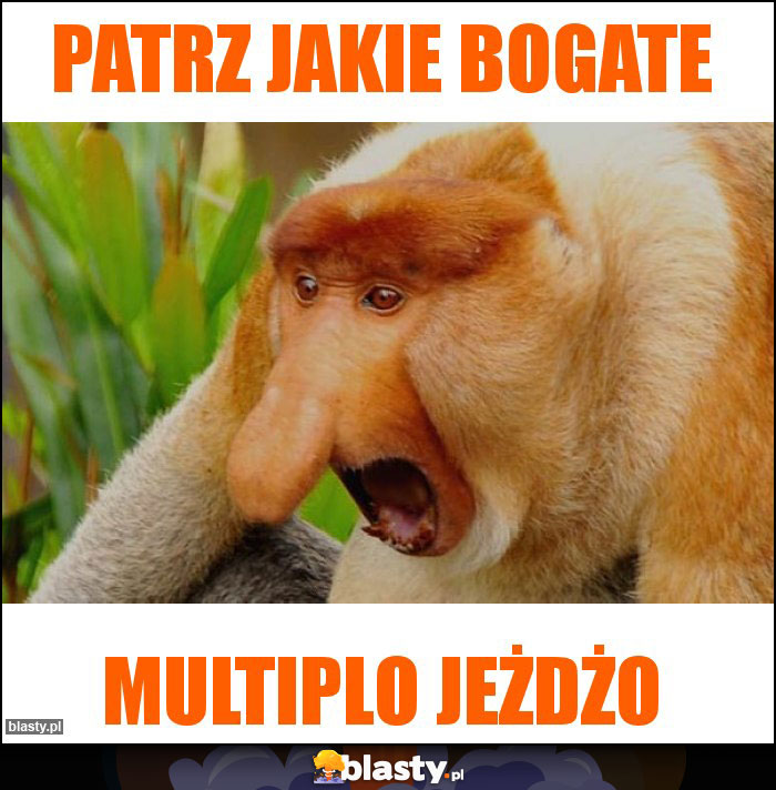 Patrz jakie bogate