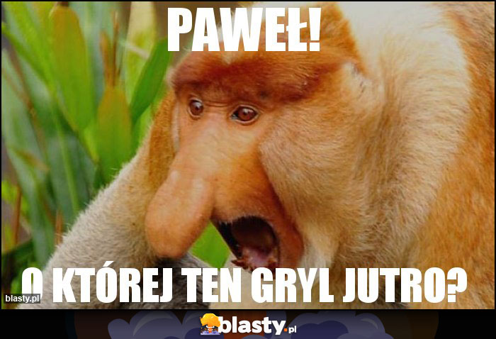 PAWEŁ!