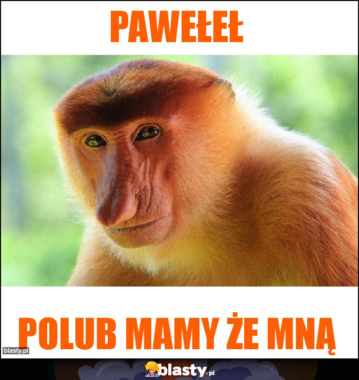 Pawełeł