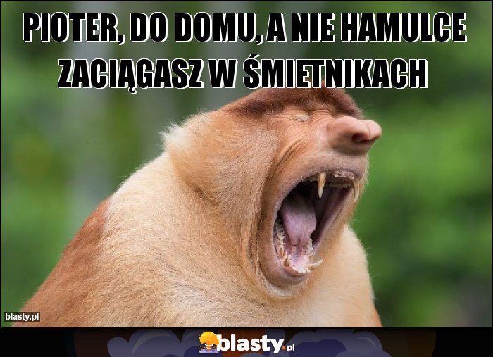 PIOTER, DO DOMU, A NIE HAMULCE ZACIĄGASZ W ŚMIETNIKACH