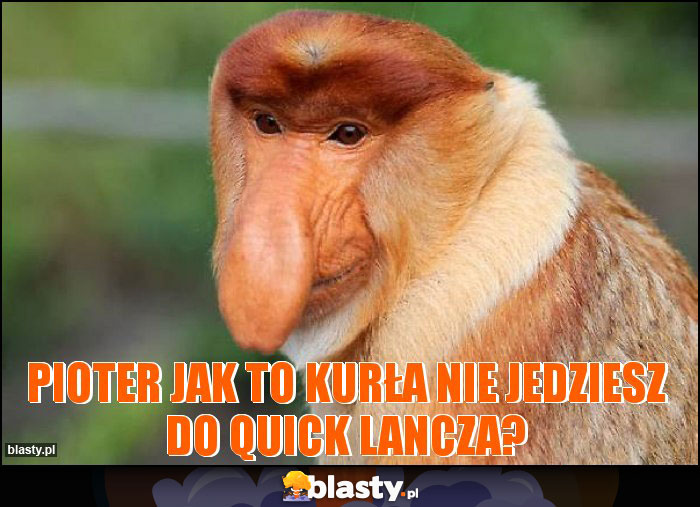 Pioter jak to kurła nie jedziesz do Quick Lancza?