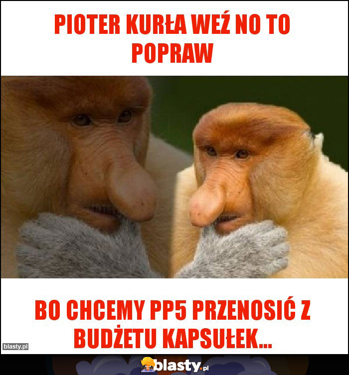 PIOTER KURŁA WEŹ NO TO POPRAW