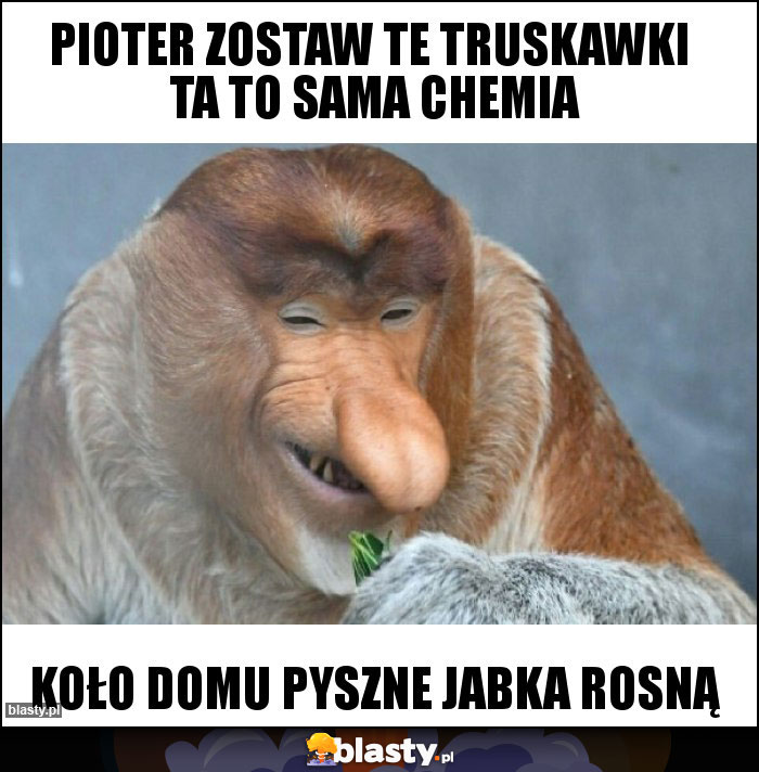 Pioter zostaw te truskawki  ta to sama chemia