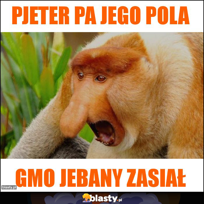 PJETER PA JEGO POLA