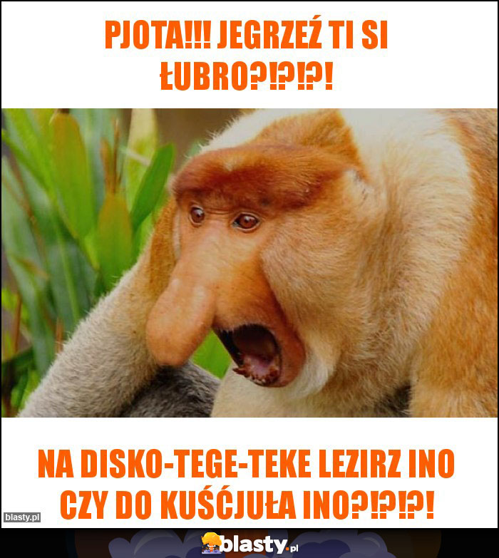 pjota!!! jegrzeź ti si łubro?!?!?!