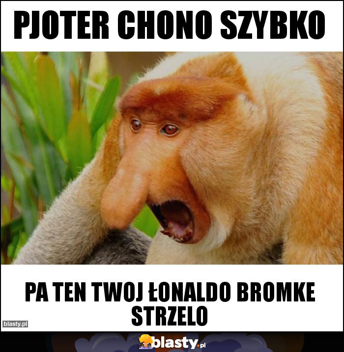 Pjoter chono szybko