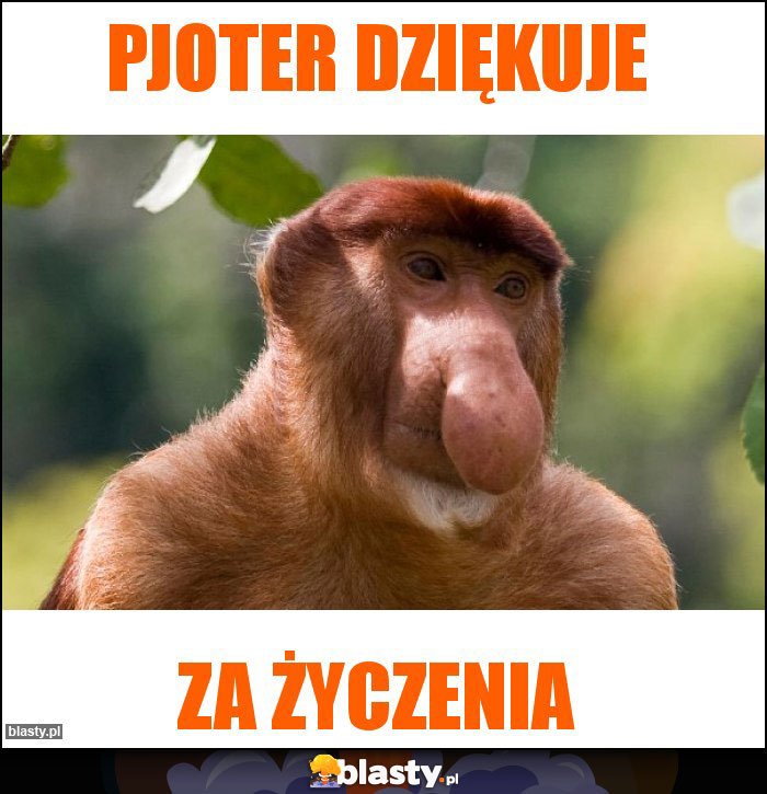 Pjoter dziękuje