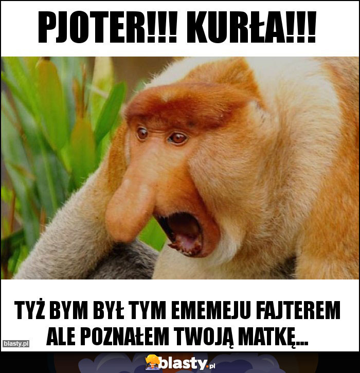 PJOTER!!! KURŁA!!!