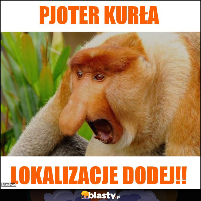 PJOTER KURŁA