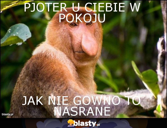 Pjoter u ciebie w pokoju