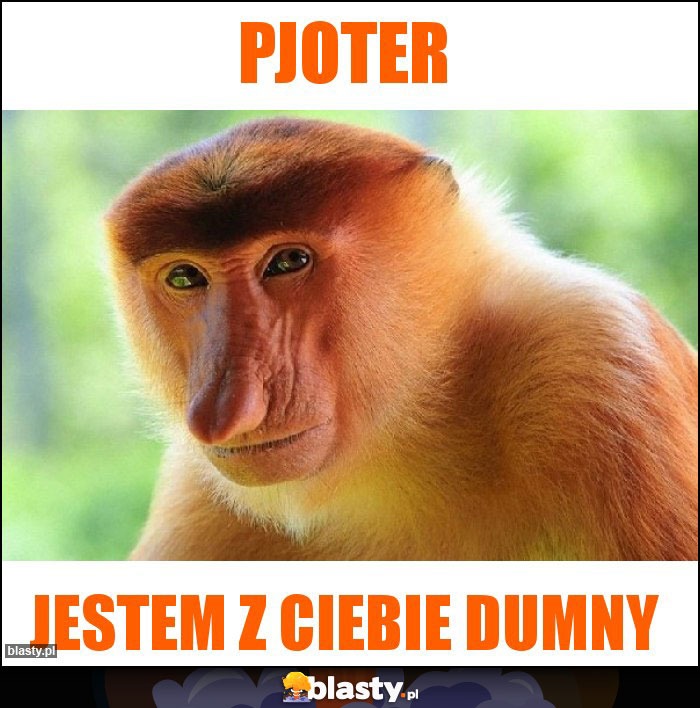 Pjoter