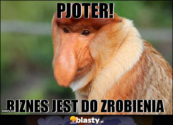 PJOTER!