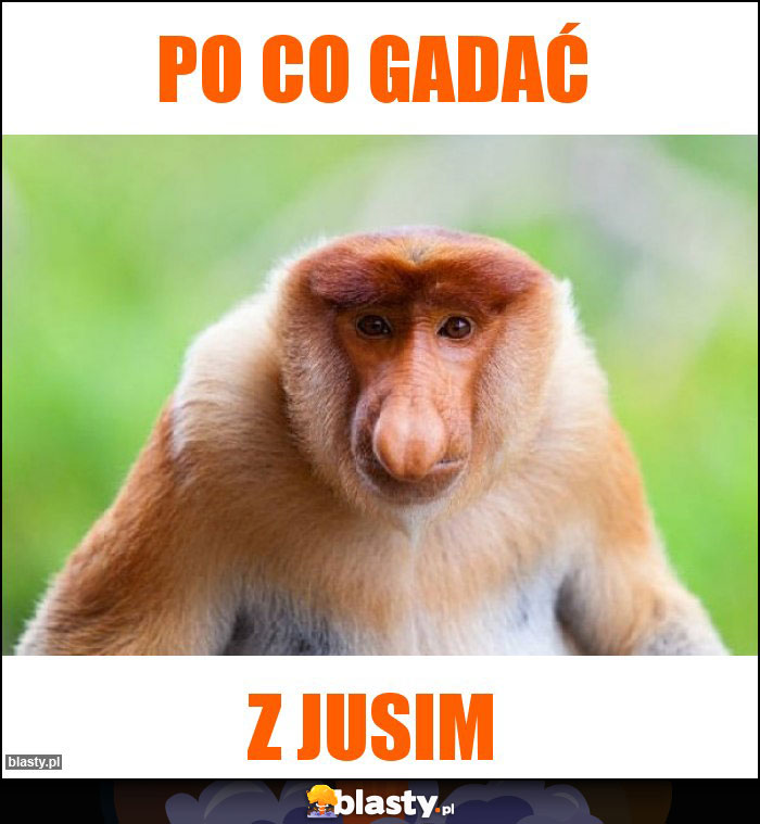 Po co gadać