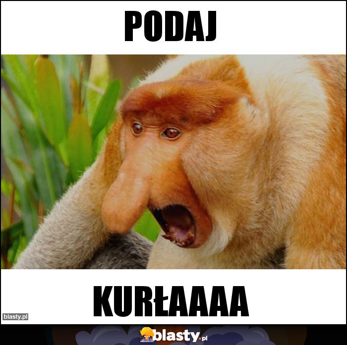 Podaj