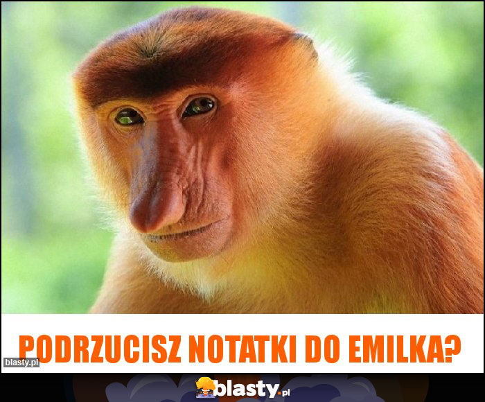 Podrzucisz notatki do Emilka?