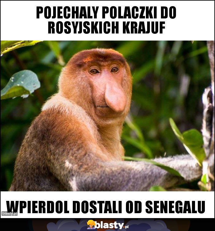 Pojechaly polaczki do rosyjskich krajuf