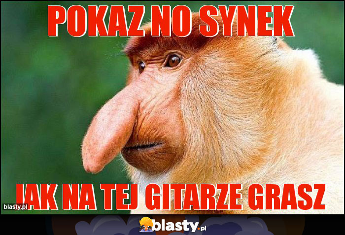 pokaz no synek