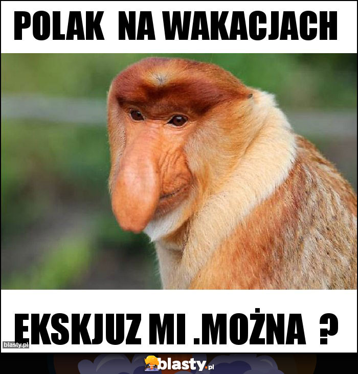 Polak  na wakacjach