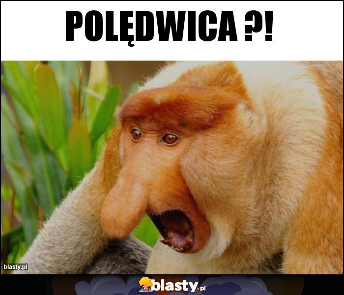 Polędwica ?!