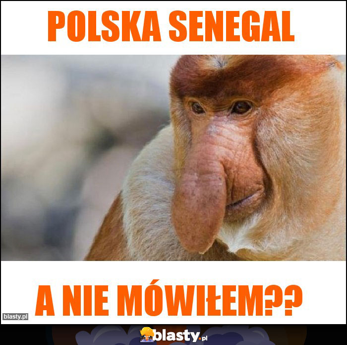 Polska Senegal